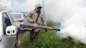 Fumigaciones por dengue