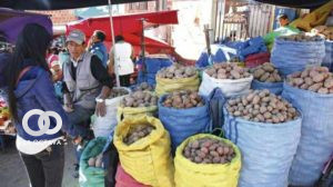 Venta de papa