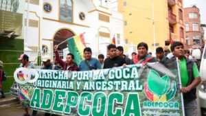 Marcha de Adepcoca en 2019.