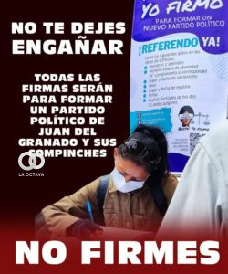 Afiche del MAS