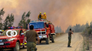 Chile acumula unos 280 incendios en todo el país.