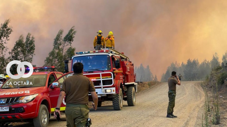 Chile acumula unos 280 incendios en todo el país.