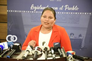 Diputada del MAS Daysi Choque.