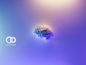 Imagen del cerebro