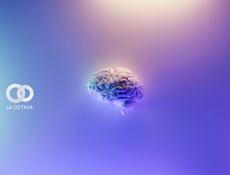 Imagen del cerebro