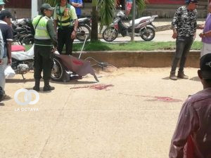 Accidente de tránsito