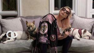 Lady Gaga con sus mascotas