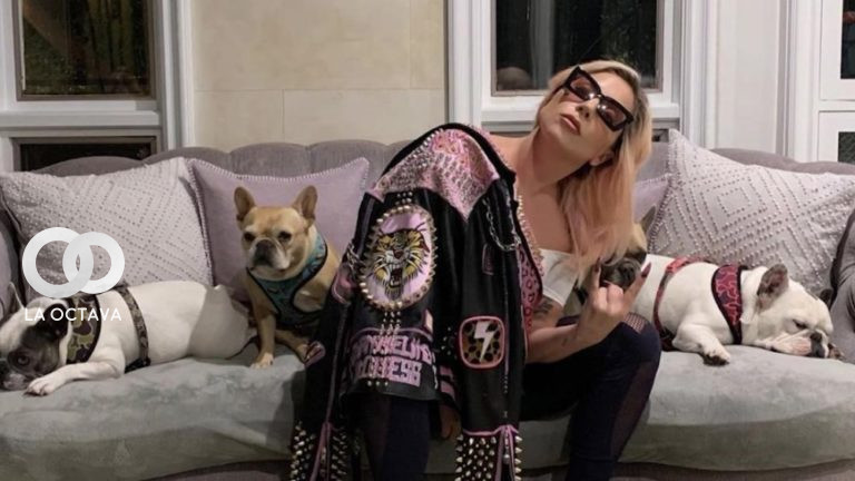 Lady Gaga con sus mascotas