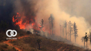 Incendios forestales en Chilee.