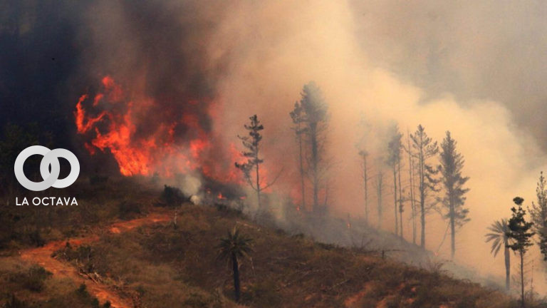 Incendios forestales en Chilee.