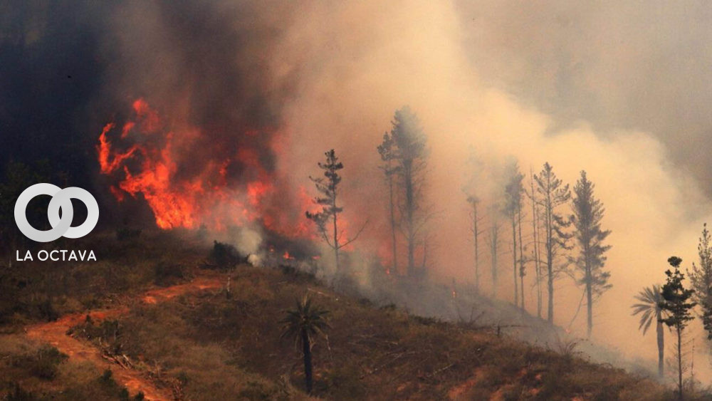 Incendios forestales en Chilee.