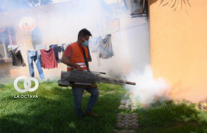 Puntos de desinfección de mosquitos de Dengue.