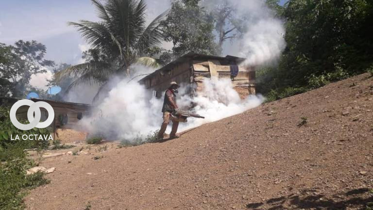 Brigadas realizan tareas de fumigación contra los criaderos del mosquito Aedes Aegypti