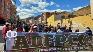 Asociación de Productores de Coca (Adepcoca)