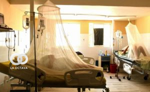 La Paz supera el centenar de casos de dengue. Foto: AFP