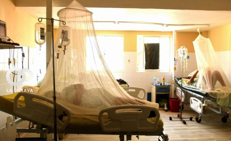 La Paz supera el centenar de casos de dengue. Foto: AFP