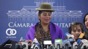 Bertha Acarapi, diputada del Movimiento Al Socialismo