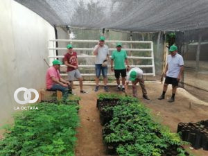 Implementación de carpas solares.