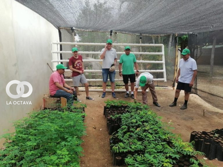 Implementación de carpas solares.