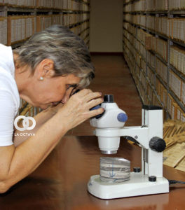 Litoteca de YPFB.