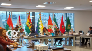 Sesión de la Comisión Mixta de Constitución del Legislativo.