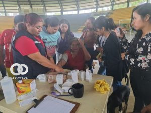 Brigadas médicas en Pando. Foto: Ministerio de Salud