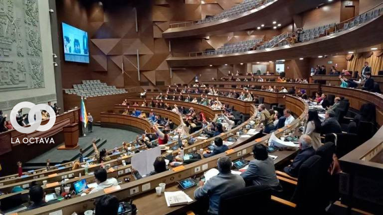 Legisladores del MAS aprueban las normas para judiciales. Foto: Senado de Bolivia