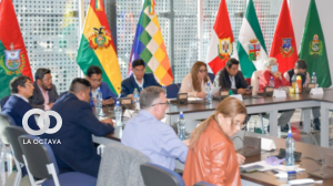 Sesión de la Comisión Mixta de Constitución Foto. Senado
