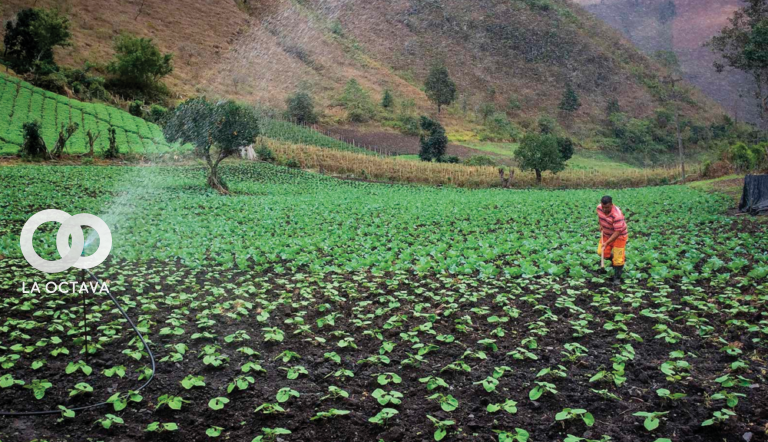 Sistema de riego tecnificado en Cochabamba. Foto: AbyaYala