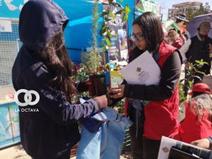 Entrega de Plantines por la Alcaldía de El Alto.
