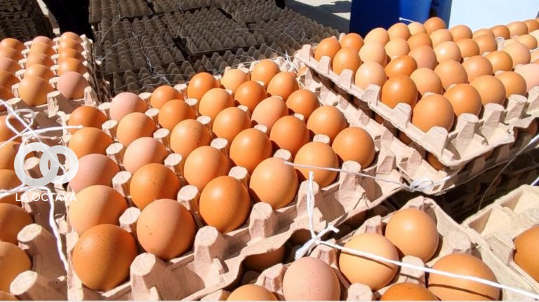 Se garantiza el precio justo del huevo. Foto: Ministerio de Desarrollo Productivo