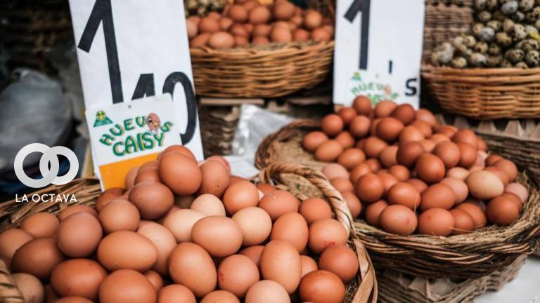 El precio del huevo se incrementó en los mercados. Foto: p7