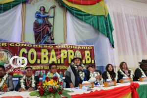 Sabina Orellana Cruz, Ministra de Culturas Descolonización y Despatriarcalización