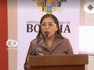 Viviana Mamani como la nueva Viceministra de Educación Alternativa y Especial
