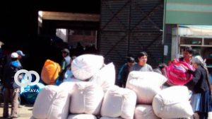 Comerciantes Minoristas al Detalle de la Hoja de Coca. Foto: P7