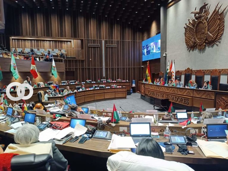 Foto: Senado Bolivia