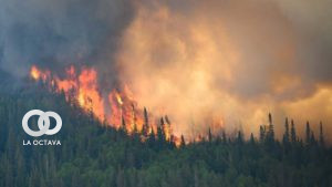 Foto: RTVe