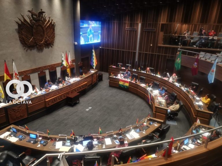 Foto: Senado Bolivia