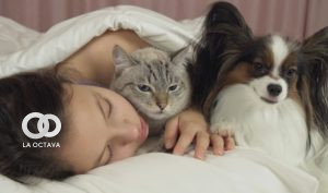 Foto: BigStock