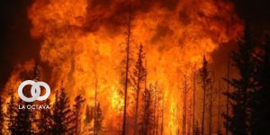 Incendios forestales en Chile, foto: ICA
