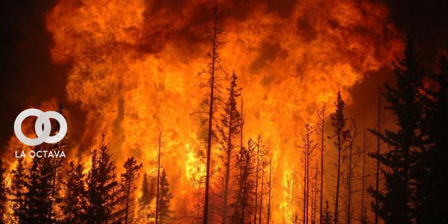 Incendios forestales en Chile, foto: ICA