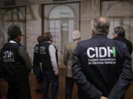 Comisión Interamericana de Derechos Humanos (CIDH)