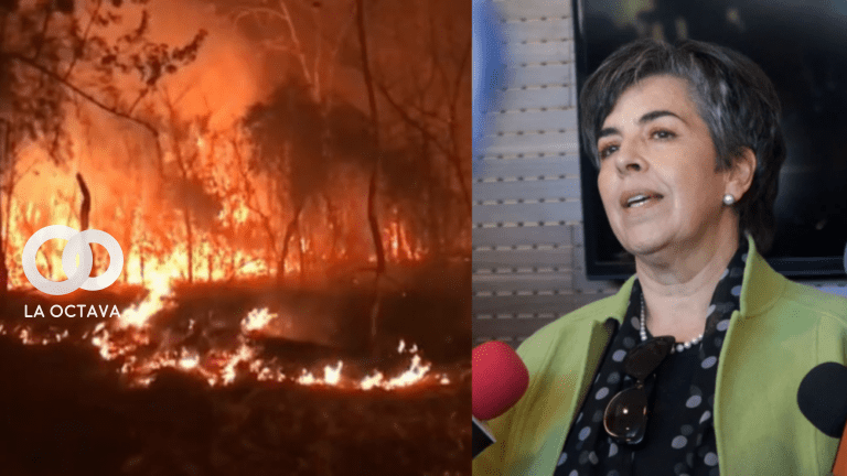 Cecilia Requena, Senadora de Comunidad Ciudadana, foto RRSS
