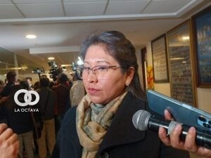 Gloria Quispe, Diputada por MAS, foto: La Patria