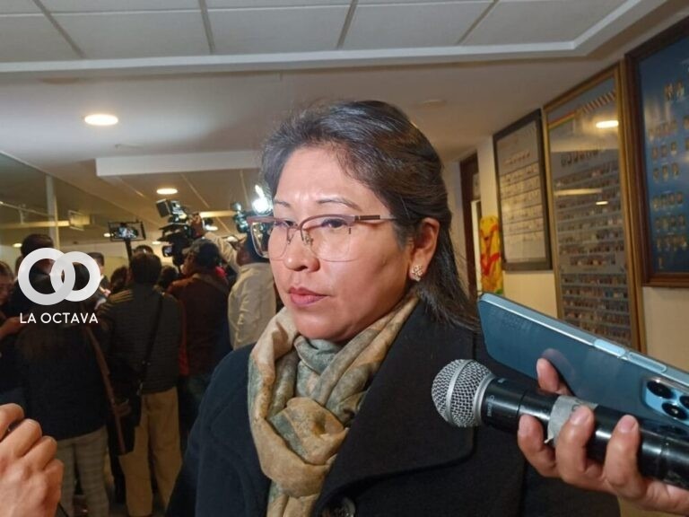 Gloria Quispe, Diputada por MAS, foto: La Patria