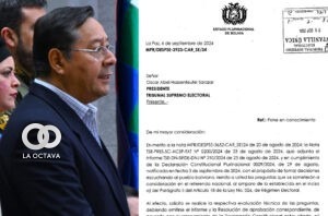 Luis Arce, foto- RRSS