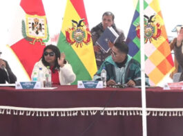 Sesión Extrarodinaria de Senadores de Bolivia, Foto captura