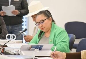 Lidia Tupa, Diputada del MAS