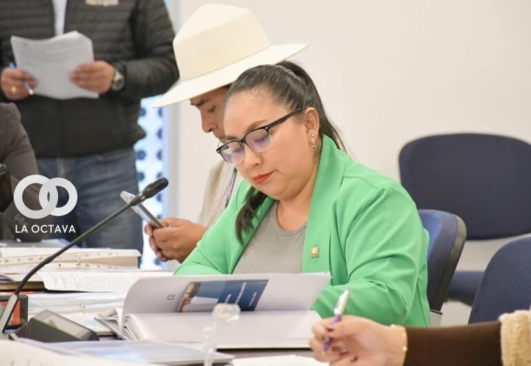 Lidia Tupa, Diputada del MAS