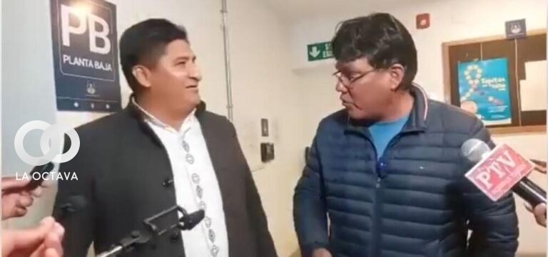 Legisladores del MAS